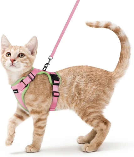 Vista 104 de rabbitgoo Cat Harness and Leash Set, Escape Proof Vest, XXS, Berry Pounce Soft Breathable Mesh, No-choke Adjustable Fit, Snap Buckles, Sturdy