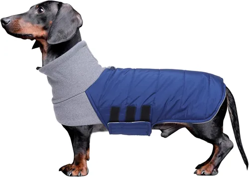 Vista 7 de Abrigo de perro salchicha para perro salchicha Corgi Weiner reversible, abrigo de invierno acolchado con forro de algodón de cuello alto, traje