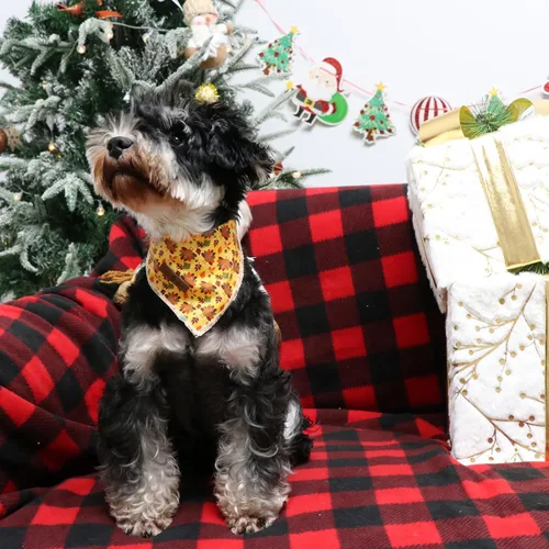 Vista 4 de Lionet Paws Bandana de Acción de Gracias para perro, lavable, de algodón, pañuelo triangular, pañuelo de pavo para perros pequeños, medianos