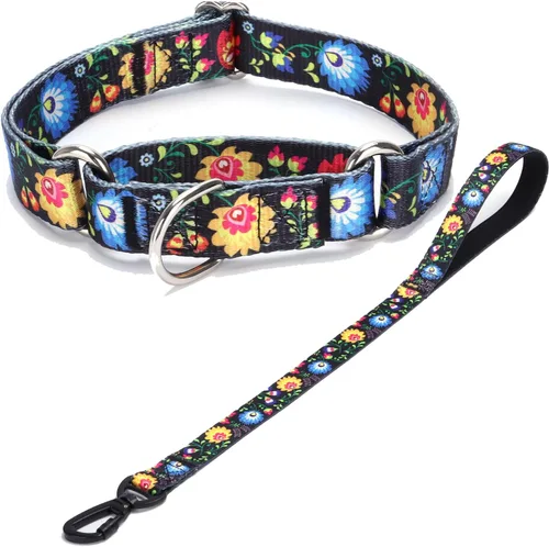Vista 40 de Collar de perro de nailon resistente, collar ajustable de martingala para perros para caminar y entrenamiento para perros machos y hembras perros