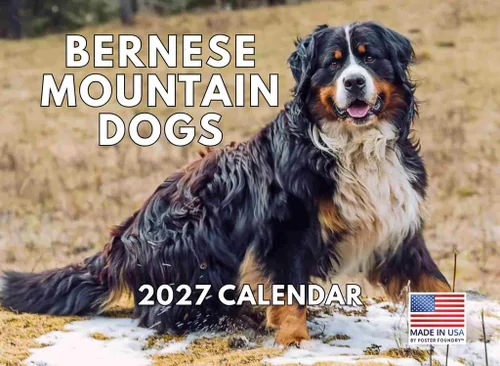 Vista 131 de Calendario mensual de pared Airedale Terrier Dog 2027