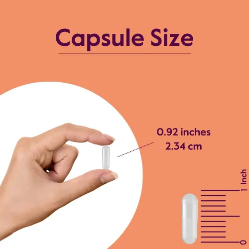 Vista 4 de BESTVITE L-tirosina 500mg (240 cápsulas) - Sin estearatos - Sin OMG - Sin gluten