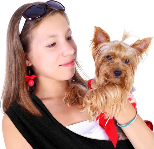 Vista 6 de Transportador para perros, baúl de transporte para gatos, eslinga frontal para perro, manos libres, tamaño ajustable, algodón suave, bolsa para Negro