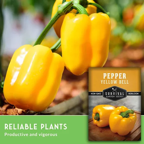 Vista 3 de Semillas de pimiento amarillo para plantar, pimientos dorados tradicionales para huertos domésticos, sin OMG, polinizado abierto, semillas de jardín