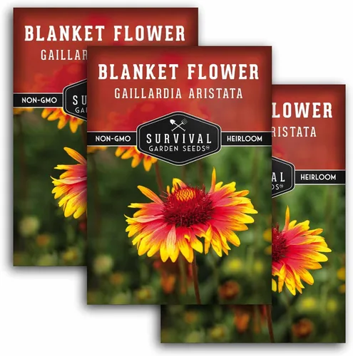 Vista 11 de Survival Garden Seeds - Semillas de flores para plantar - Paquete con instrucciones para plantar y cultivar Gaillardia Pulchella en el huerto de tu