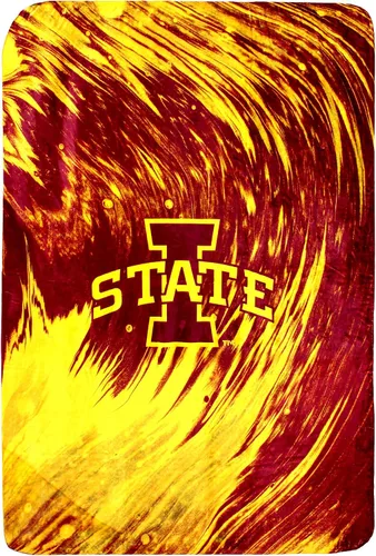 Vista 13 de College Covers Everything Comfy Arkansas Razorbacks Color Swept Manta Suave de Tiro, 30" x 40
