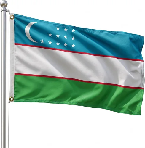 Vista 117 de DMSE - Bandera nacional beninesa beninesa de la República de África Occidental, 2 x 3 pies, 100 % poliéster, 100 % poliéster, resistente a los rayos