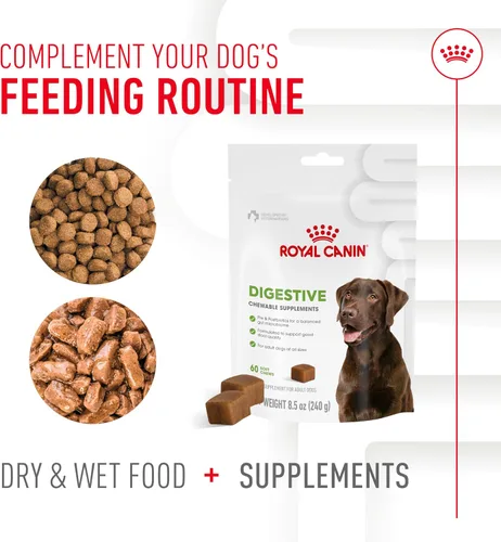Vista 6 de Royal Canin - Suplemento digestivo para perros adultos, masticables suaves, 60