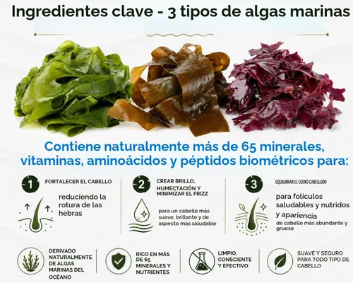 Vista 6 de Mascarilla capilar con vitamina y acondicionador profundo con aceite de coco orgánico - Restaura los daños secos - Repara el daño - reduce