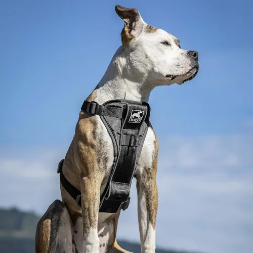Vista 4 de Kurgo Tru-Fit - Arnés inteligente para caminar para perros, ajuste cómodo, arnés ajustable, reflectante para mascotas, liberación rápida