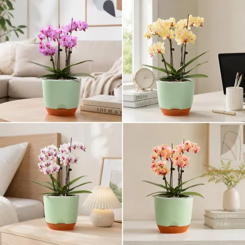 Vista 6 de QCQHDU Macetas de orquídeas de 5.7 pulgadas con agujeros para trasplantar, macetas de plástico de doble capa con riego automático para plantas