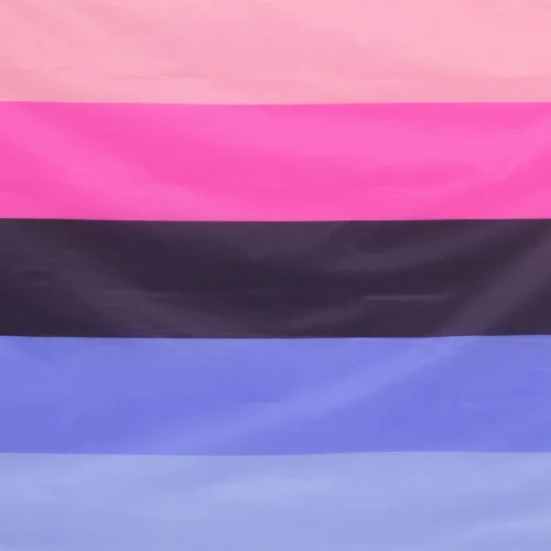Vista 3 de FLAGLINK Bandera del Orgullo Omnisexual 3x5 Pies - Pancarta del Orgullo Omni Pansexual