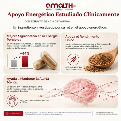 Vista 6 de AMALTH Cápsulas de extracto de hoja de damiana 1000 mg Suplemento de hierbas de té de Damiana Cápsulas Turnera Diffusa Extracto de té de hoja