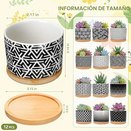 Vista 2 de Threehoney 12 macetas de cerámica para suculentas de 3.14 pulgadas