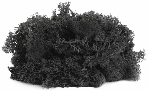 Vista 2 de SuperMoss 21786 Musgo de Reno Preservado Negro, Aprox. 3 lb Estuche a Granel