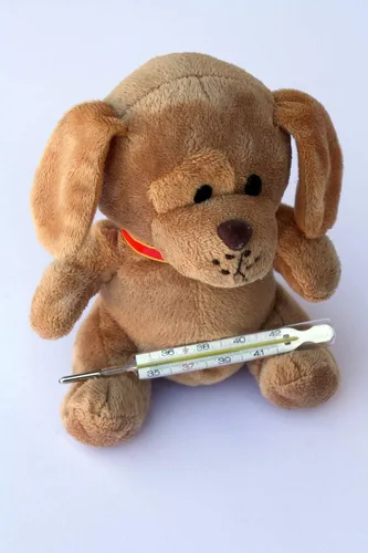 Vista 5 de Dr Jeff's - Bolsa de hielo para fiebre auténtica para bebés y niños pequeños, paquete de hielo de gel para niños para dolores de cabeza y lesiones