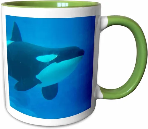 Vista 8 de 3dRose Orca Killer Whale - Taza de cerámica azul subacuática, 11 onzas