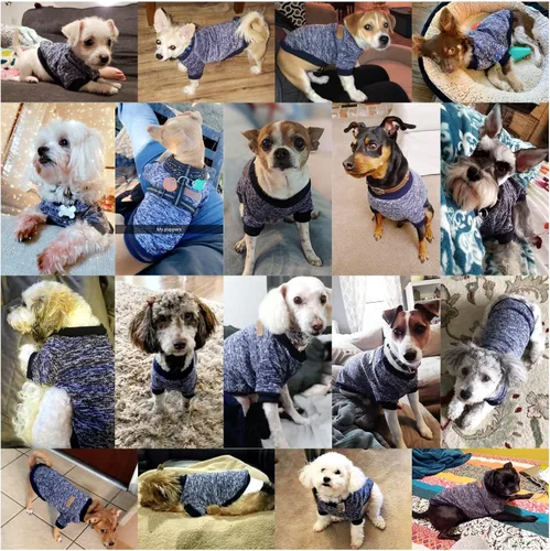 Vista 4 de Jecikelon Ropa para Perros Suéter para Perros Ropa Suave para Cachorros Ropa de Invierno Suéteres para Cachorros Atuendo Cálido para Perros Pequeños