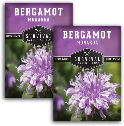 Vista 10 de Semillas de bálsamo de abeja para plantar, bergamota silvestre (Monarda Fistulosa), flores silvestres nativas perennes y hierbas medicinales