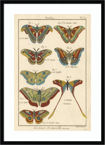 Vista 19 de Amanti Art Lienzo decorativo para pared enmarcado de 24 x 18 pulgadas, diseño de mariposas de naturaleza III de historia, arte de pared de animales
