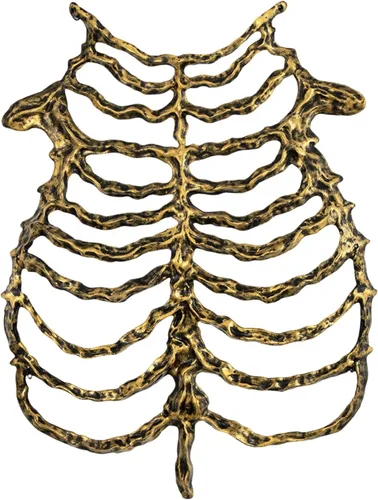 Vista 12 de Practical and Lightweight Skeleton Props Costume B