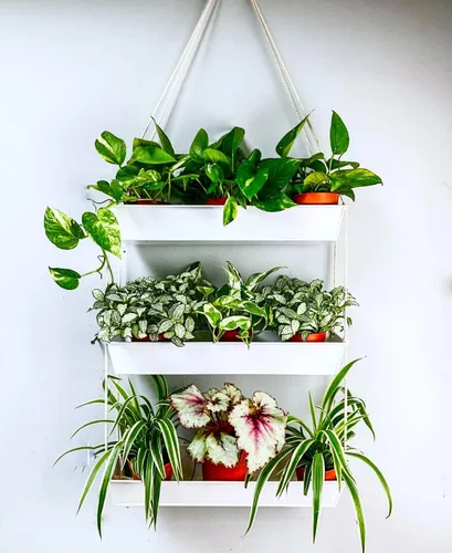 Vista 11 de LaLaGreen - Maceta escalonada de 16 pulgadas para plantas suculentas de interior, maceta rectangular moderna de metal negro de 3 niveles