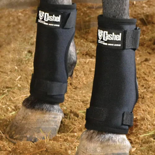 Vista 2 de Cashel Botas para caballos - Grandes 10.5 pulgadas de alto (par)