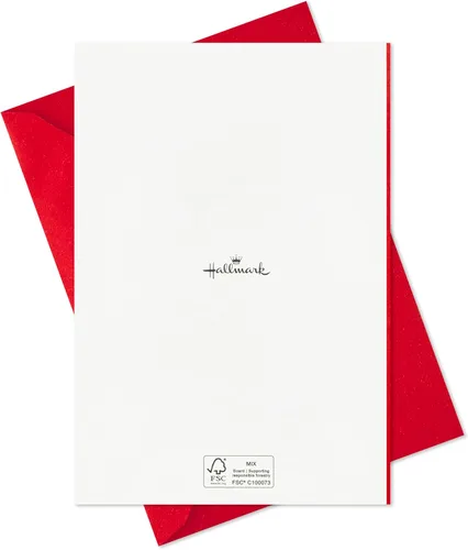 Vista 7 de Hallmark Tarjetas del día de San Valentín (12 diseños únicos con sobres) para niños, pareja romántica, amigos, familia, cuidador