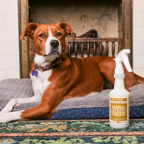 Vista 7 de Speed Cleaning Pet 'Oops' Non Toxic Pet Safe Enzyme Cleaner Concentrate