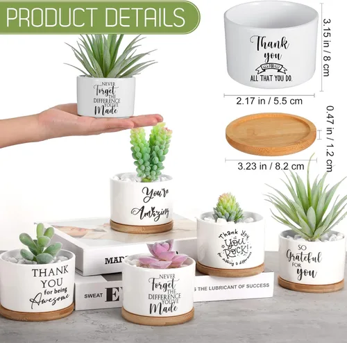 Vista 2 de Yaomiao 20 piezas de regalo de la semana de CNA, regalos de agradecimiento a los empleados, regalos de plantas suculentas a granel para mujeres