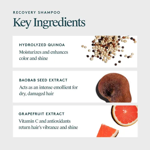 Vista 3 de VIRTUE Champú de recuperación sin sulfato con queratina y aceite de semilla de baobab para cabello dañado, color seguro