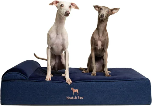 Vista 20 de NOAH & PAW Cama pequeña para perros, 20 x 15 x 6.5 pulgadas, cama para gatos de interior, espuma viscoelástica ortopédica de cáscara de huevo Verde