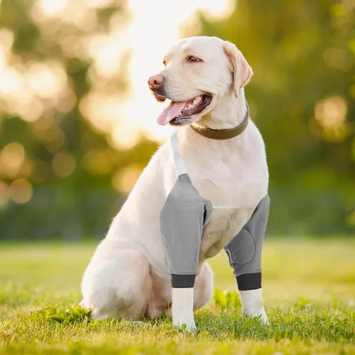 Vista 2 de Oudain 2 pares de protectores de codo de perro con banda elástica, suave acolchado ajustable para perritos pequeños, medianos y grandes, 2