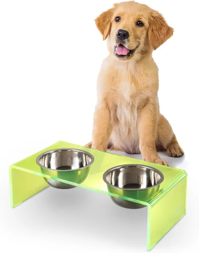 Vista 10 de DBL2000B Keaton - Comedero rectangular elevado moderno de lucita para mascotas de 5 pulgadas, tamaño pequeño/mediano, con 2 cuencos de acero
