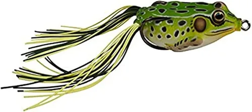 Vista 6 de Rana de Livetarget con cuerpo hueco