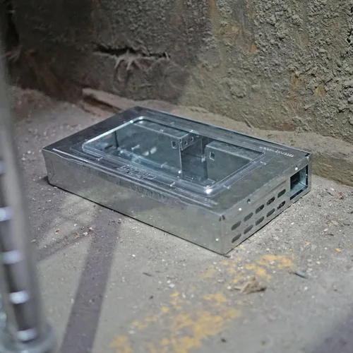 Vista 10 de Trampa para ratones humanitaria de múltiples capturas con parte superior transparente, solución reutilizable y eficaz de control de roedores, trampa