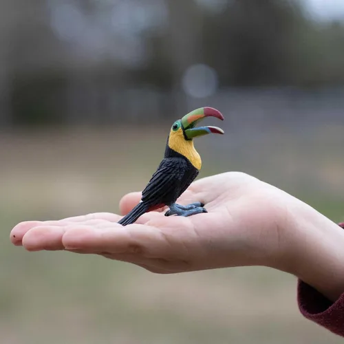 Vista 2 de Safari Ltd. Figura de pájaro realista de 2.75 pulgadas, juguete educativo para niños, niñas y niños a partir de 3 años