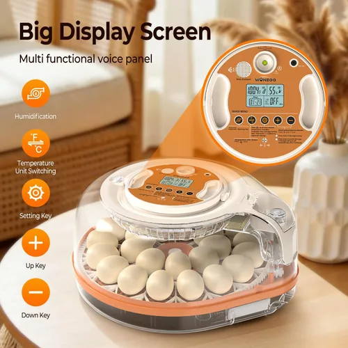 Vista 7 de Incubadoras para incubar huevos con asistente de voz inteligente, incubadora de 26 huevos con girador automático de huevos y control de humedad