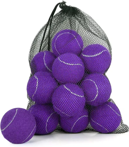 Vista 21 de Tennis Balls, High Bounce for Practice and Dog Play