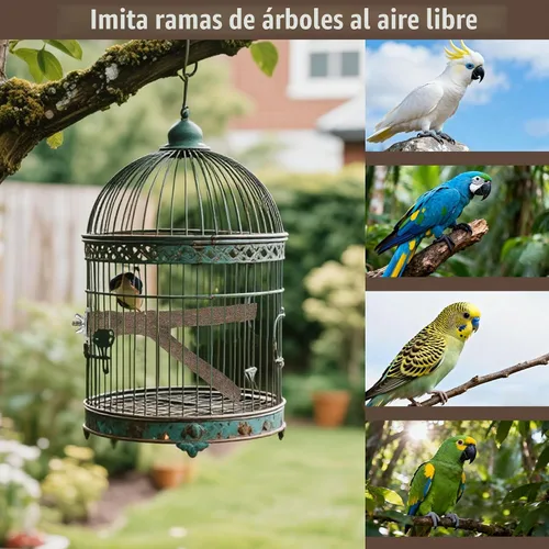 Vista 9 de Juego de 6 perchas para pájaros