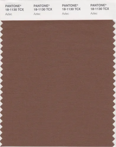 Vista 18 de PANTONE Tarjeta de muestra de color inteligente 18-1314X, bellota