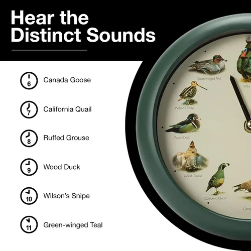 Vista 6 de Mark Feldstein, reloj cantando aves de caza salvaje de América del Norte, 8 pulgadas, verde