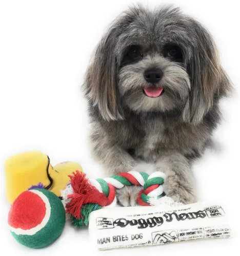 Vista 6 de Calcetín de Navidad para perros. Juguete de periódico chirriante, juguete de bota chirriante, una pelota de tenis roja, verde y blanca y una cuerda
