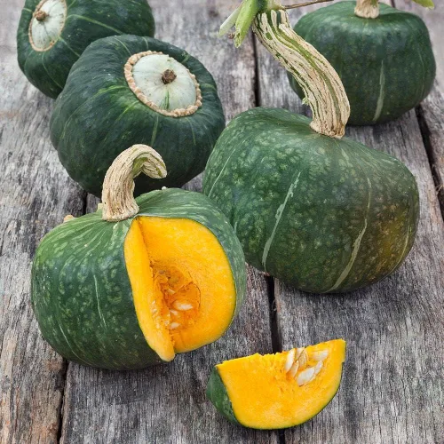 Vista 6 de TomorrowSeeds - Semillas de calabaza Burgess Buttercup - Paquete de 40 unidades - Calabaza verde japonesa Kabocha Invierno Azul Calabaza Azul