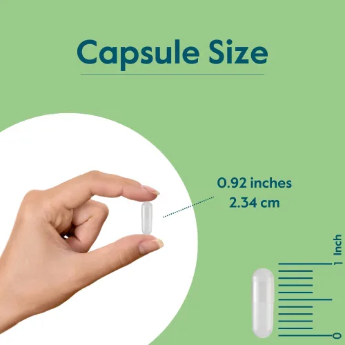 Vista 5 de BESTVITE Ácido pantoténico 500 mg (vitamina B5) (240 cápsulas vegetarianas) - Sin estearatos - Sin gelatina - Sin silicato de calcio - Vegano - Sin