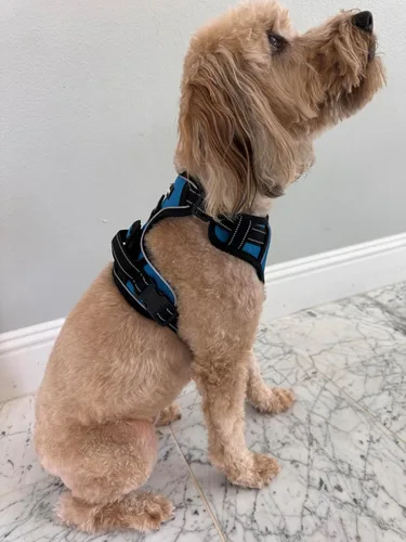 Vista 6 de ROOSK Arnés para perro Sin tirones, reflectante, ajustable en 4 direcciones con soporte para bolsa de excrementos, máxima comodidad, suave
