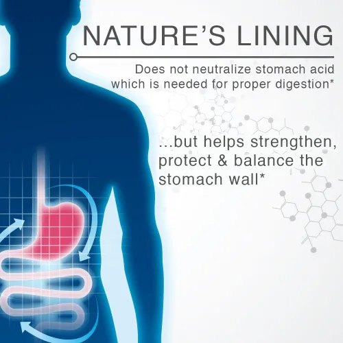 Vista 5 de Lane Innovative - Nature's Lining, tabletas masticables que ayudan a proteger la pared del estómago, alivio duradero, apoya el equilibrio digestivo*