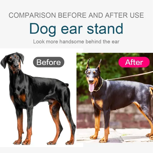Vista 7 de Doberman Kit de publicación de orejas de perro, herramienta de soporte para orejas de perro, grifo de orejas de perro para Doberman Pinscher