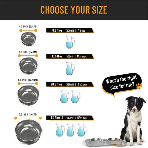 Vista 5 de Active Pets - Juego de tazones para perros, tazones para comida y agua de acero inoxidable a prueba de derrames con alfombrilla de silicona Gris