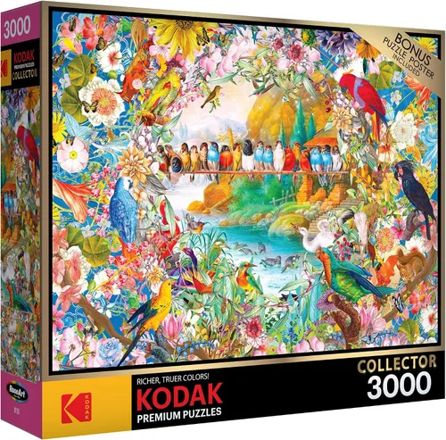 Vista 10 de RoseArt - Kodak Premium - Brandon's Bookstore - Rompecabezas de 3000 piezas para adultos